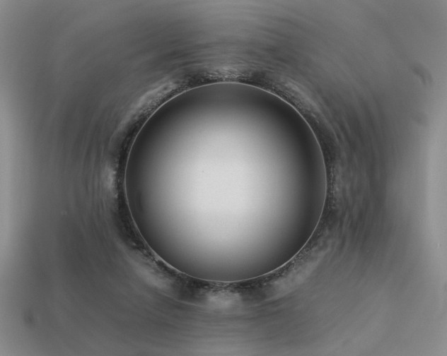 X0000113220258200909101156