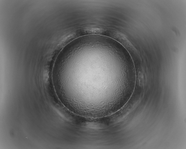 X0000113220259200909101156