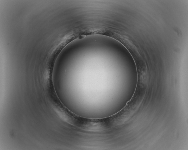 X0000113220260200909101156