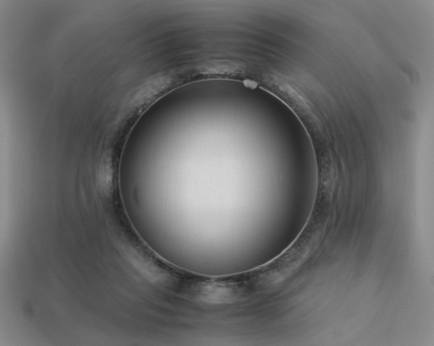 X0000113220261200909101156