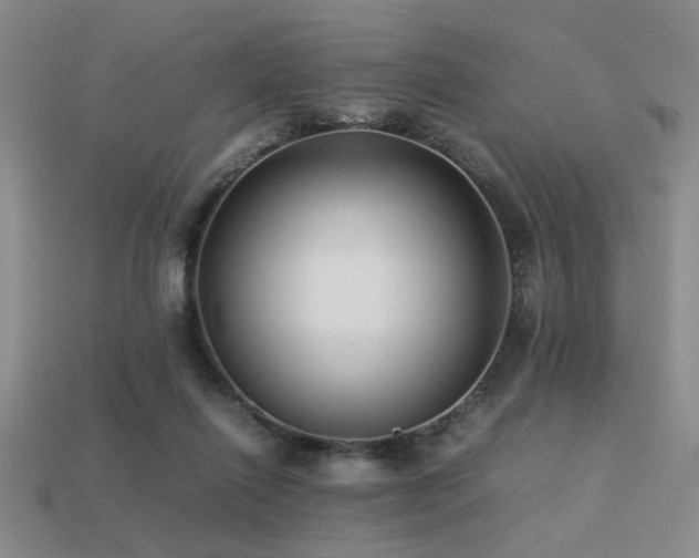 X0000113220262200909101156