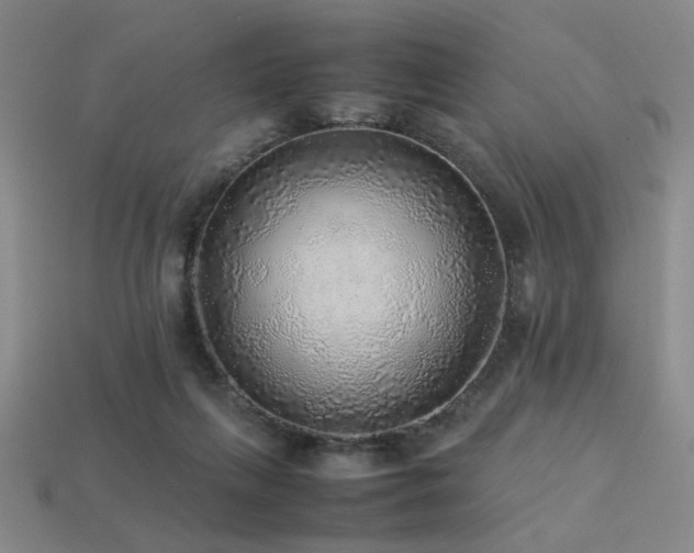 X0000113220263200909101156