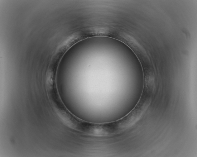 X0000113220264200909101156