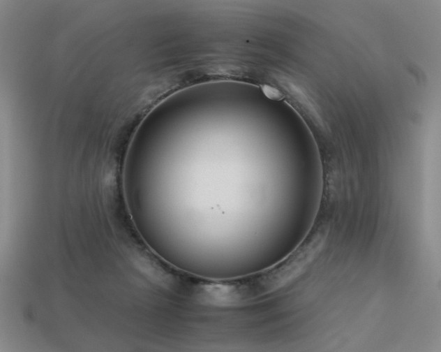 X0000113220265200909101156