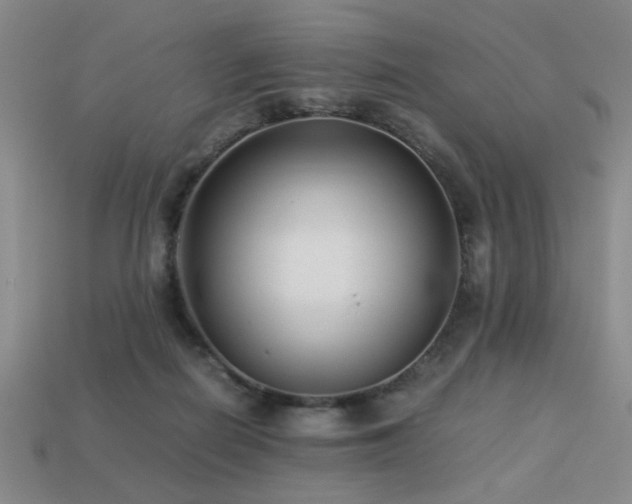 X0000113220266200909101156