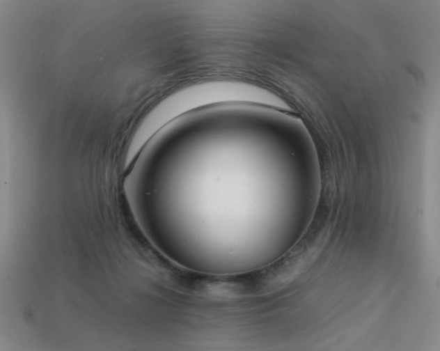 X0000113220268200909101156