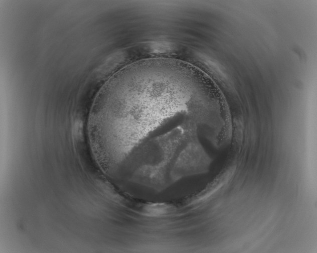 X0000113220269200909101156