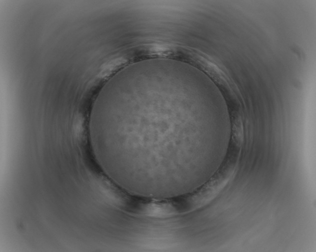 X0000113220270200909101156