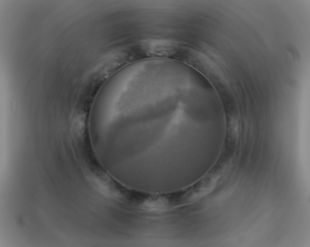 X0000113220271200909101156