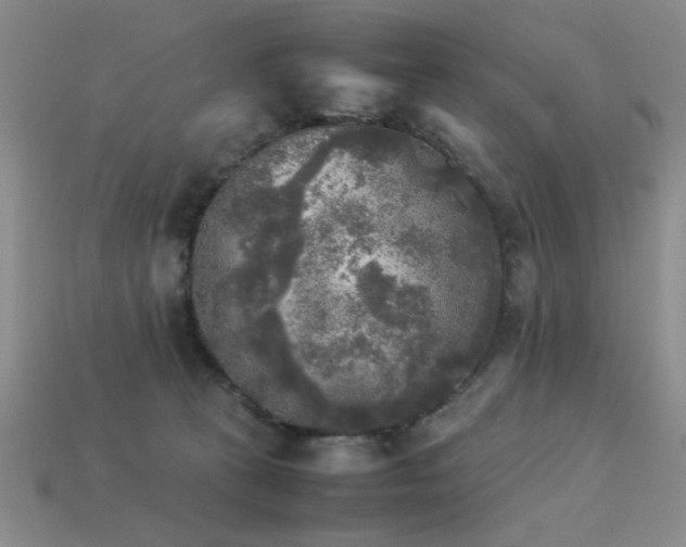 X0000113220273200909101156