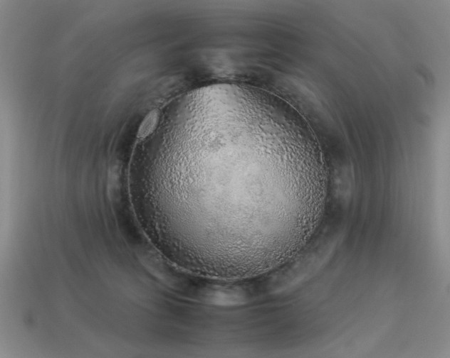 X0000113220275200909101156