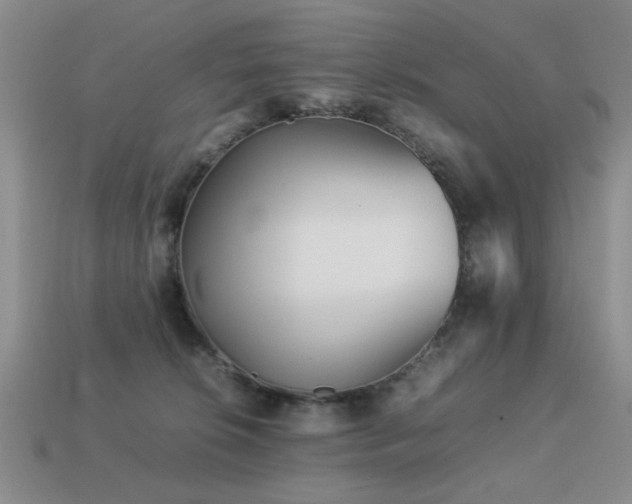 X0000113220276200909101156