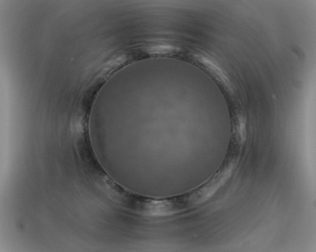 X0000113220277200909101156