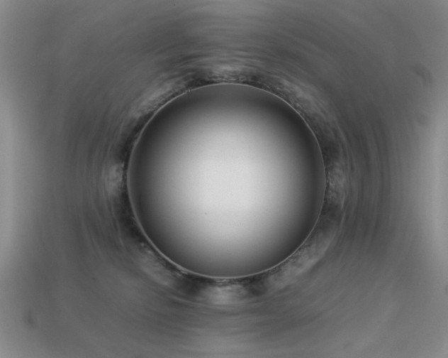 X0000113220278200909101156