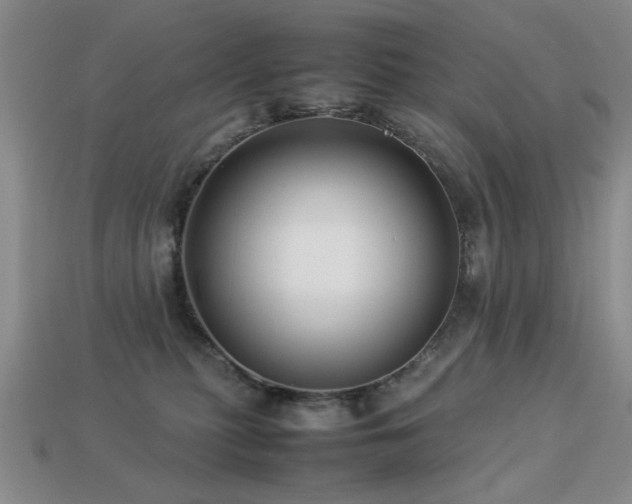 X0000113220279200909101156