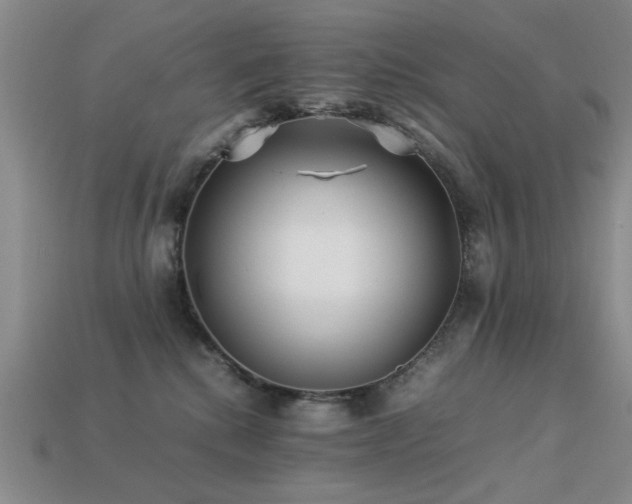 X0000113220280200909101156