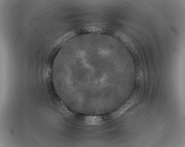 X0000113220281200909101156