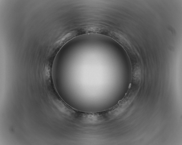 X0000113220282200909101156