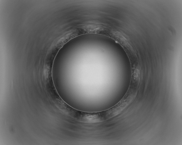 X0000113220283200909101156