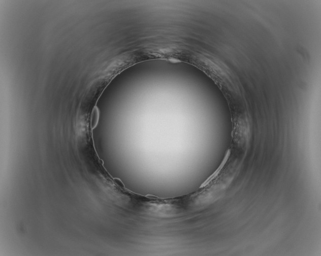 X0000113220284200909101156