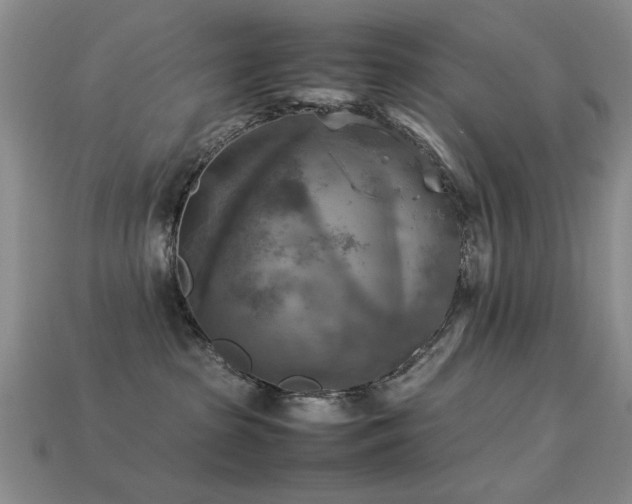 X0000113220285200909101156