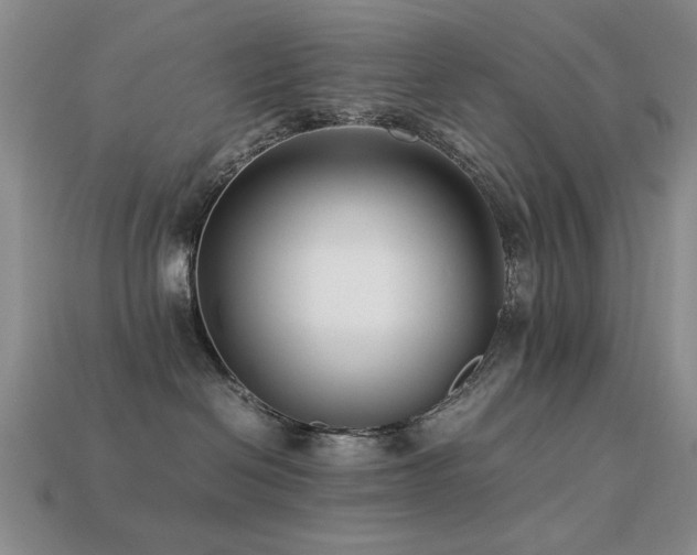 X0000113220286200909101156