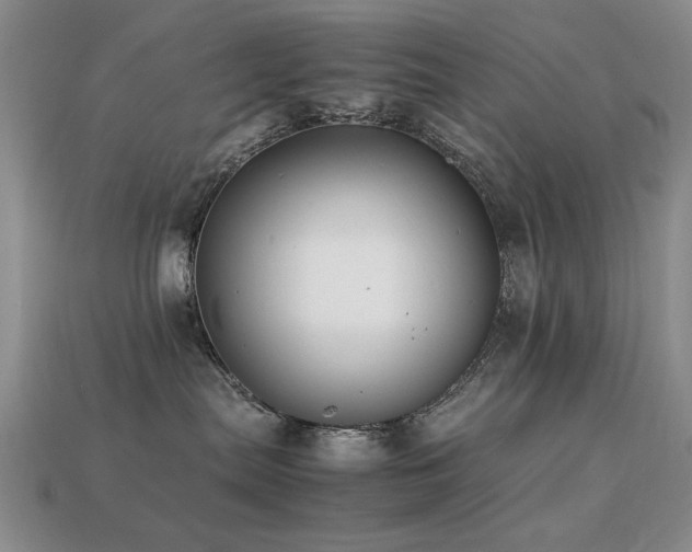 X0000113220287200909101156