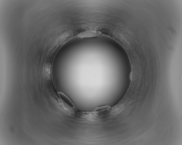 X0000113220288200909101156