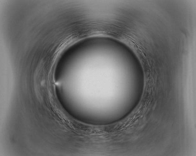 X0000113220289200909101156