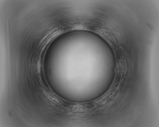 X0000113220290200909101156