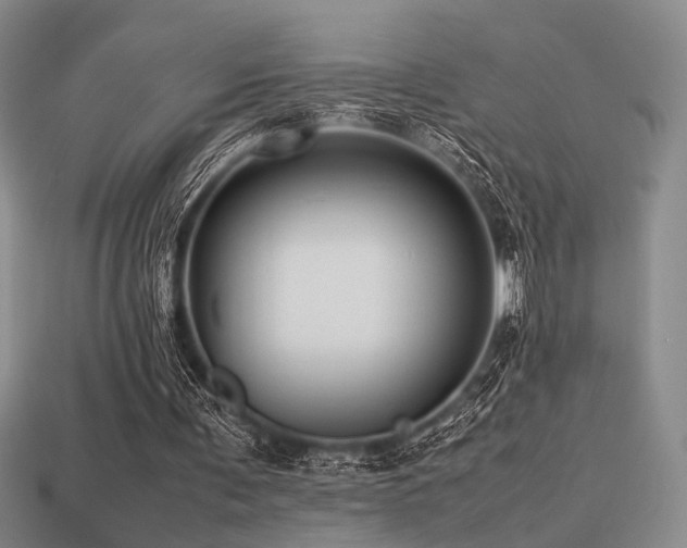 X0000113220291200909101156