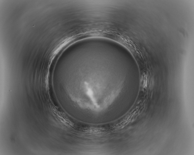 X0000113220292200909101156