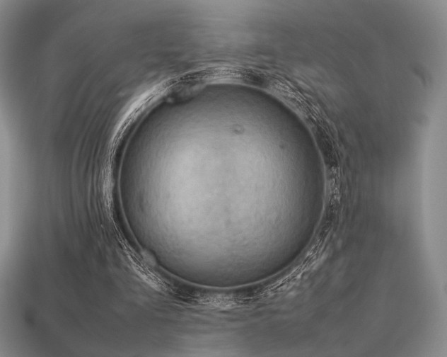 X0000113220293200909101156