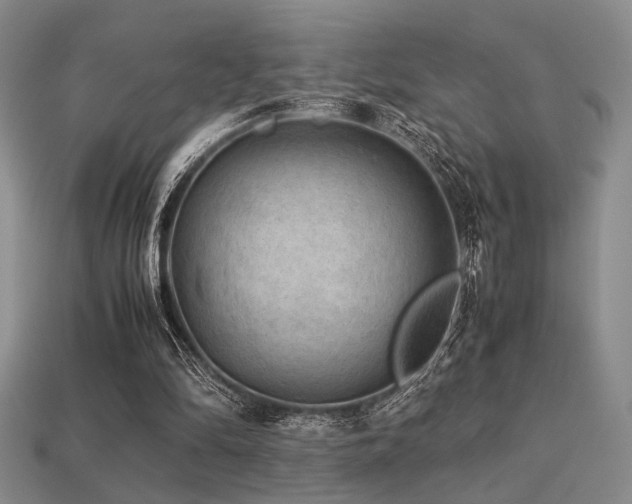 X0000113220294200909101156