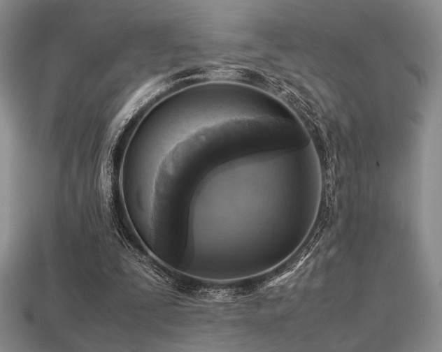 X0000113220295200909101156