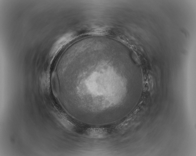 X0000113220296200909101156