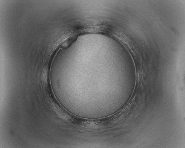 X0000113220297200909101156