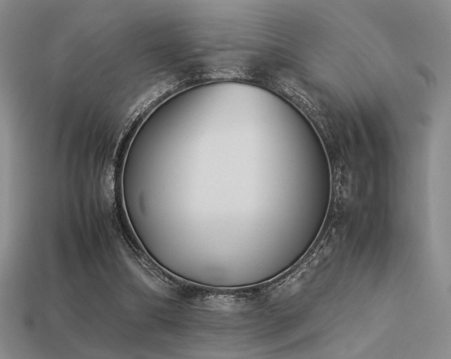 X0000113220298200909101156