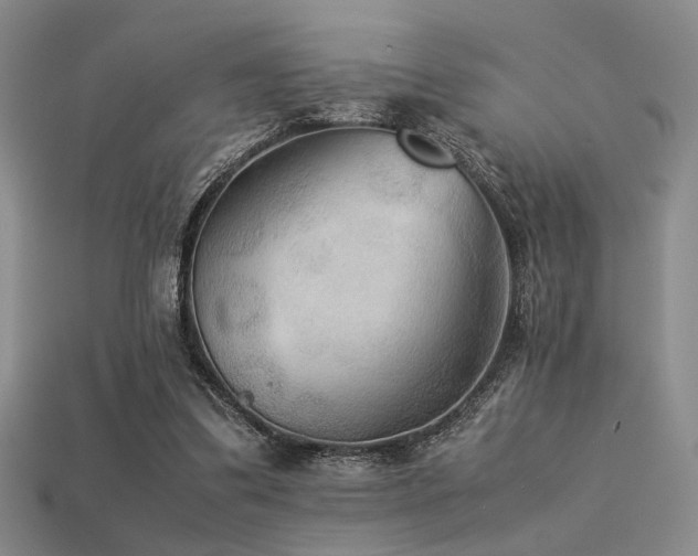 X0000113220299200909101156