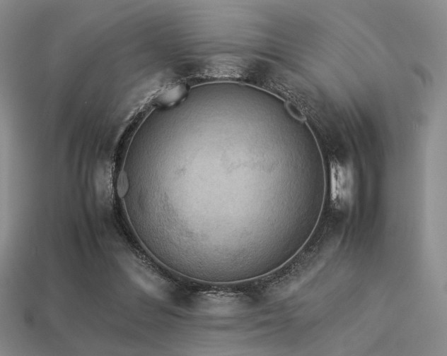 X0000113220300200909101156