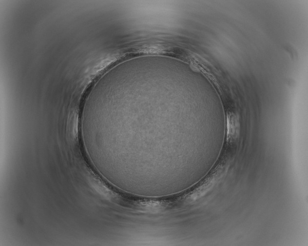 X0000113220301200909101156