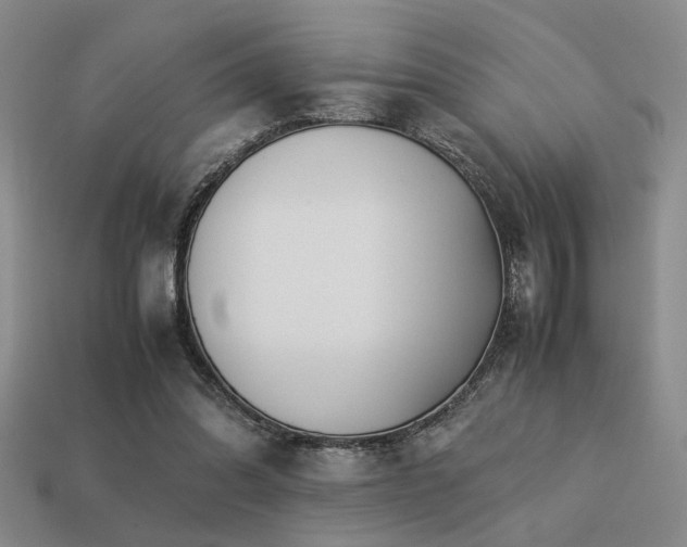 X0000113220302200909101156