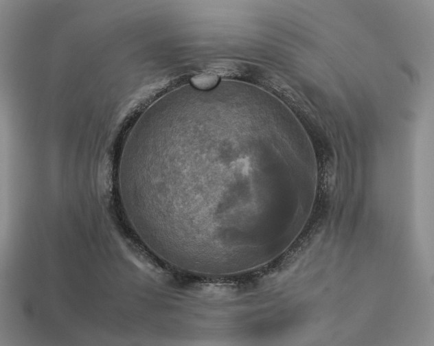 X0000113220303200909101156