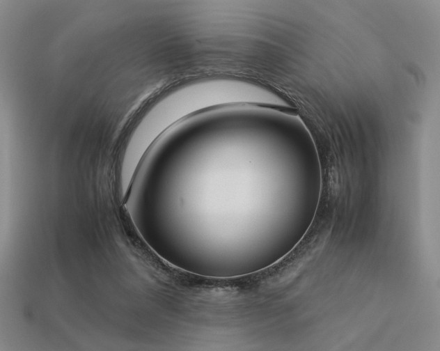 X0000113220304200909101156