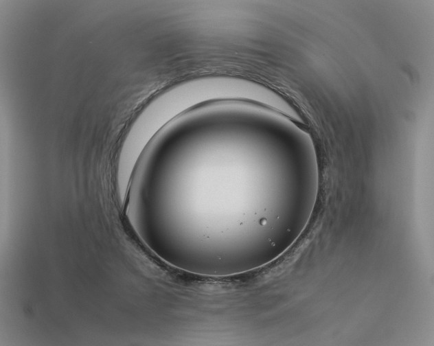 X0000113220305200909101156