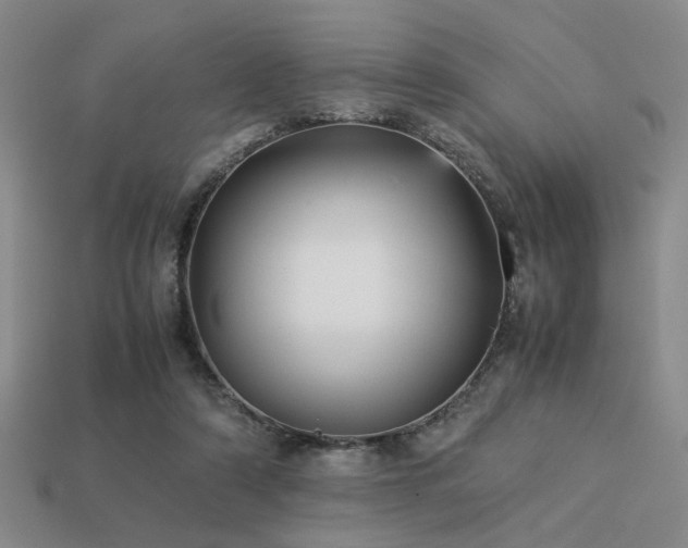 X0000113220306200909101156