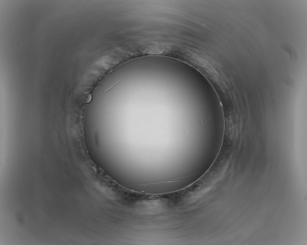 X0000113220307200909101156