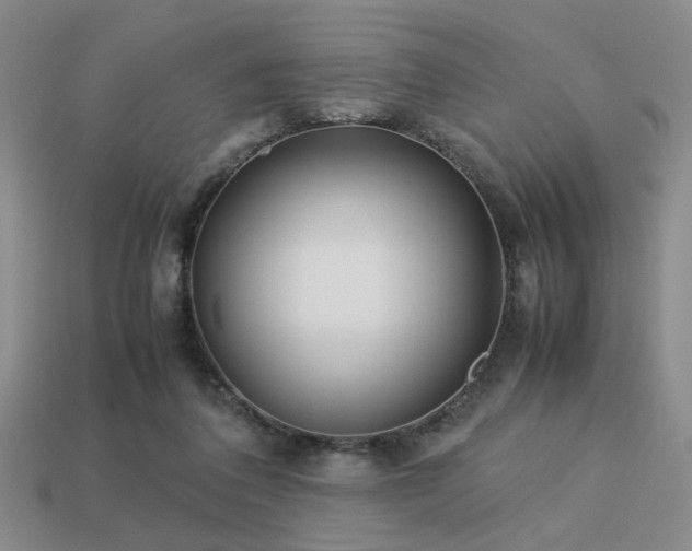 X0000113220308200909101156