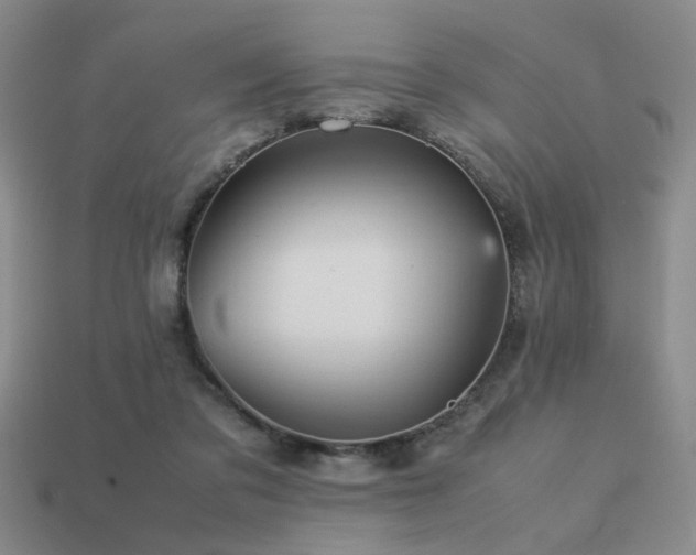 X0000113220309200909101156