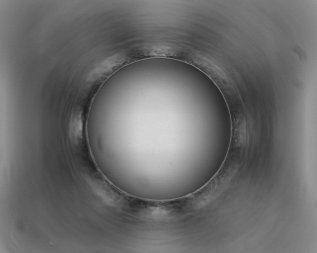 X0000113220310200909101156